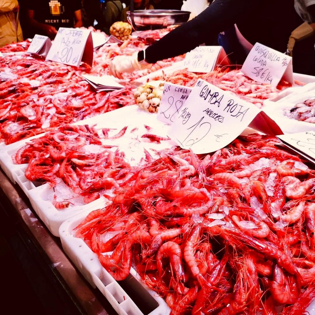 Desconecta Junto Al Mercado Central De Alicante Dış mekan fotoğraf