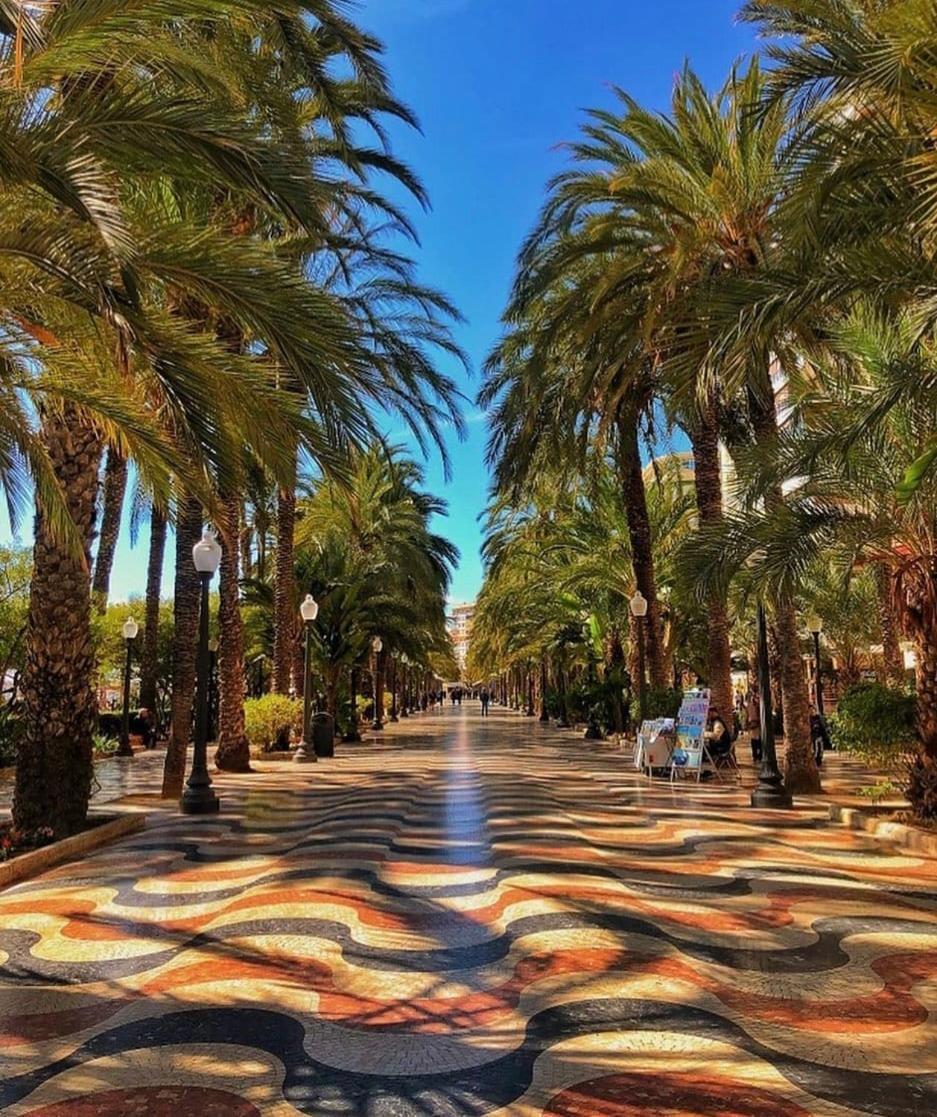 Desconecta Junto Al Mercado Central De Alicante Dış mekan fotoğraf